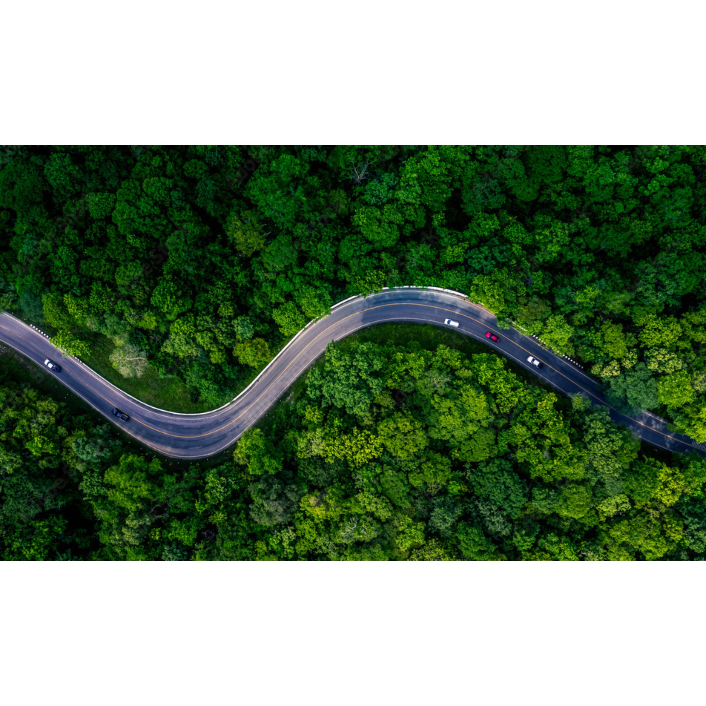 Electric Scooters & E-Bikes