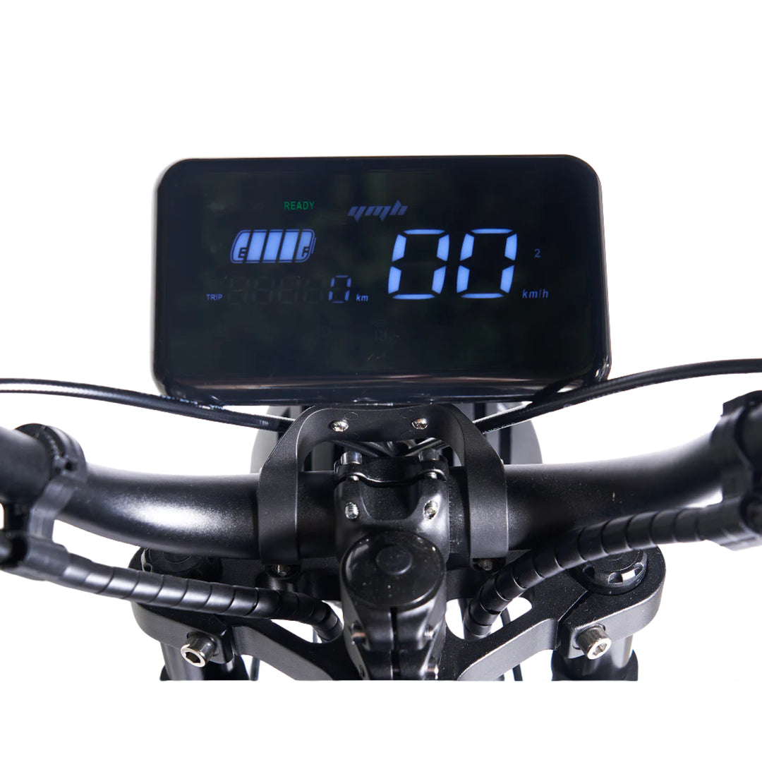 Black Warrior Electric Bike