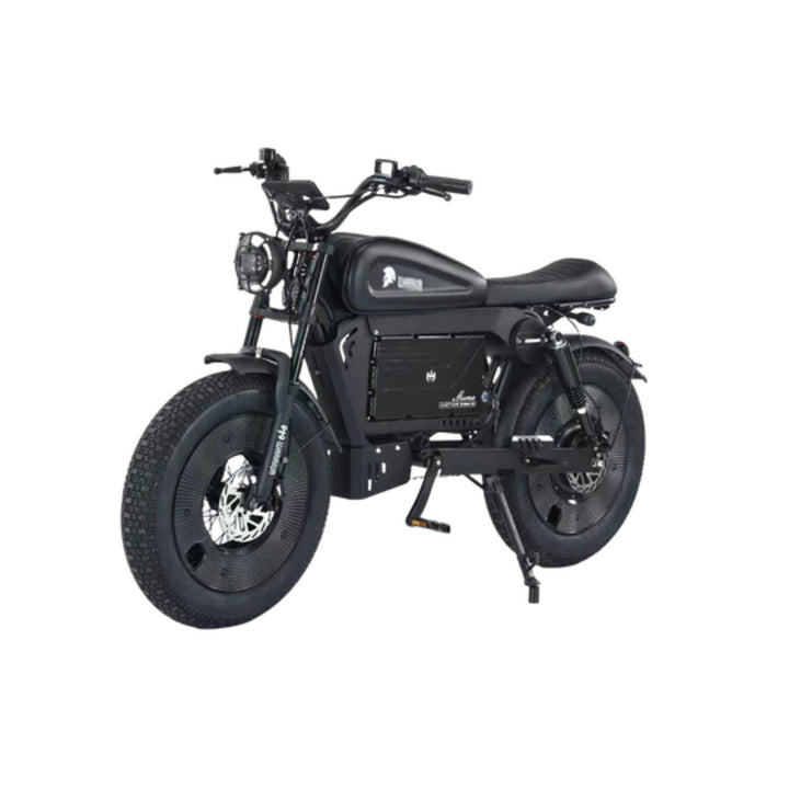 Black Warrior Electric Bike