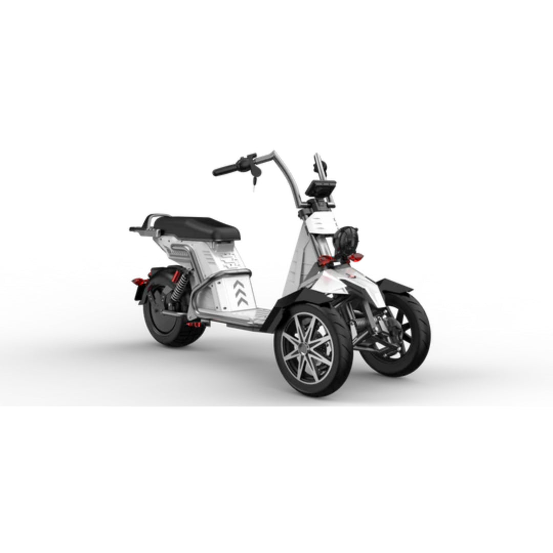 SoverSky 4000W Three-Wheeled Electric E-Trike