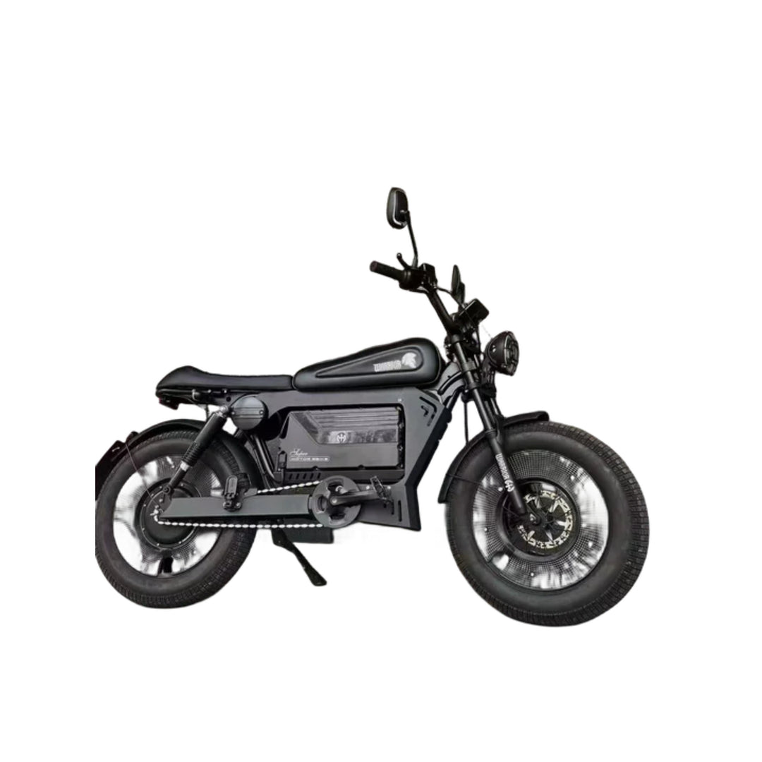 Black Warrior Electric Bike