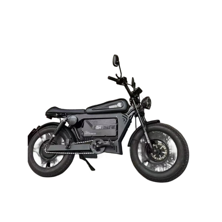 Black Warrior Electric Bike